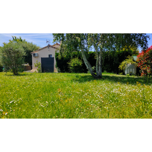 Nettoyage multi-services